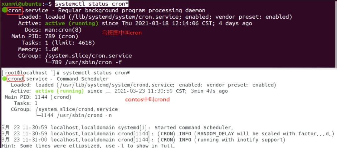 Essential Linux Commands for Information Gathering and Penetration Testing