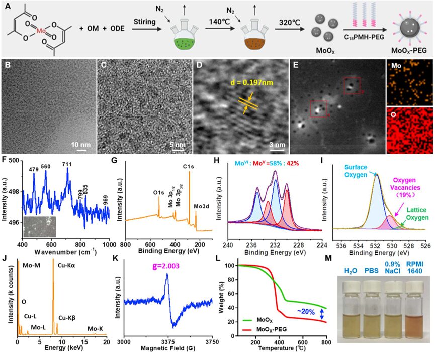 Oxygen-Deficient Molybdenum Oxide Nanosensitizers for Ultrasound-Enhanced Cancer Metalloimmunotherapy
