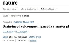 Brain-Inspired Computing Needs A Master Plan