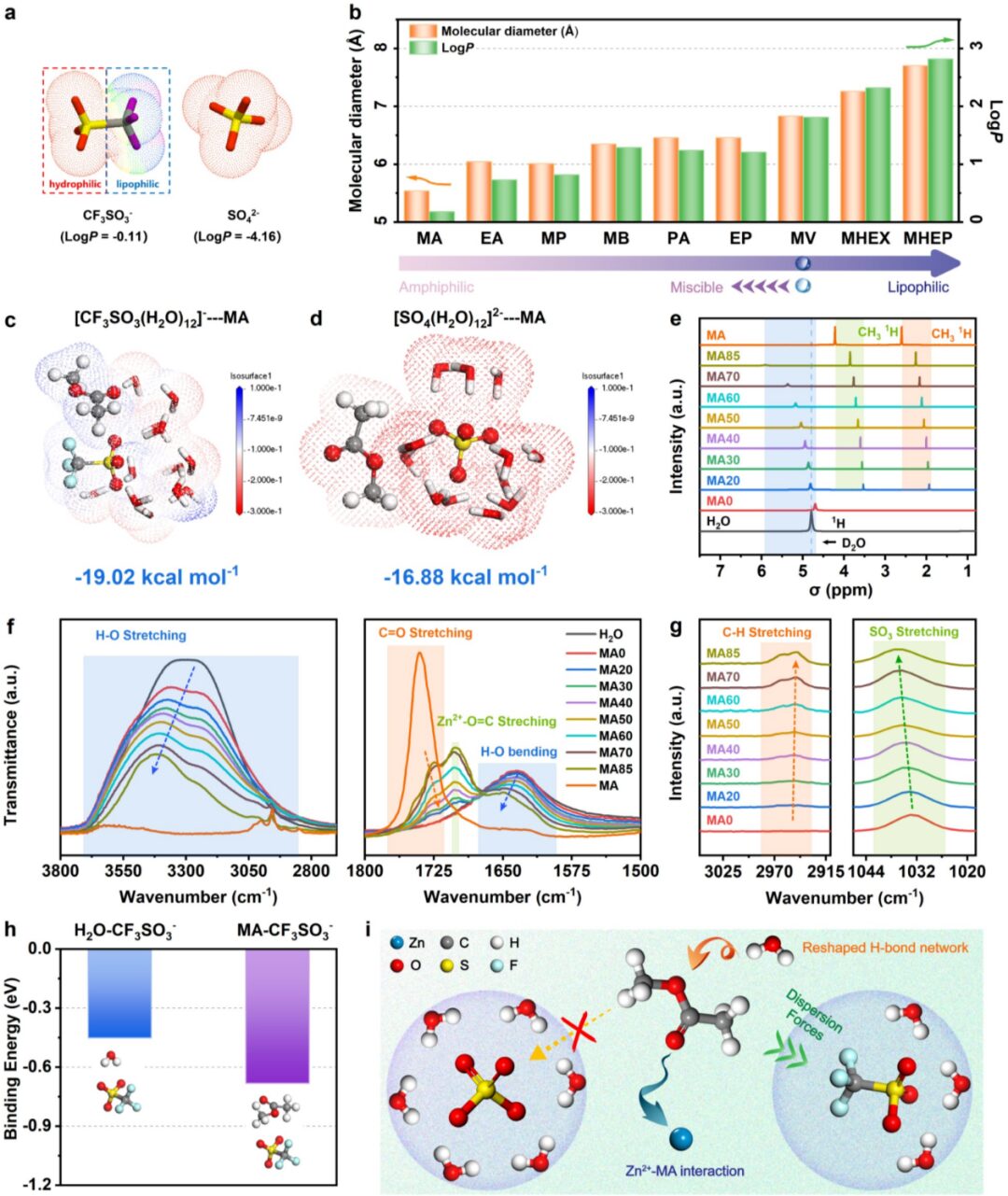 Salt Anion Amphiphilicity-Activated Electrolyte Cosolvent Selection Strategy for Durable Zn Metal Anode