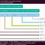 Essential Linux Commands for Information Gathering and Penetration Testing