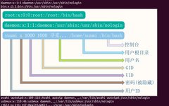 Essential Linux Commands for Information Gathering and Penetration Testing
