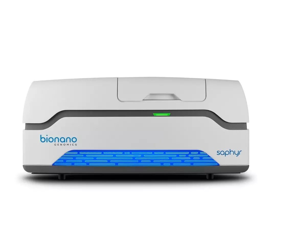 Cutting-Edge Sequencing Technologies: A Detailed Introduction to Single-Molecule Optical Mapping