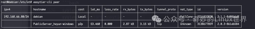 EasyTier: A New Tool for Cross-Region Networking