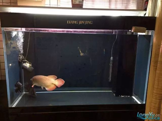 DIY Fully Automatic Water Change System