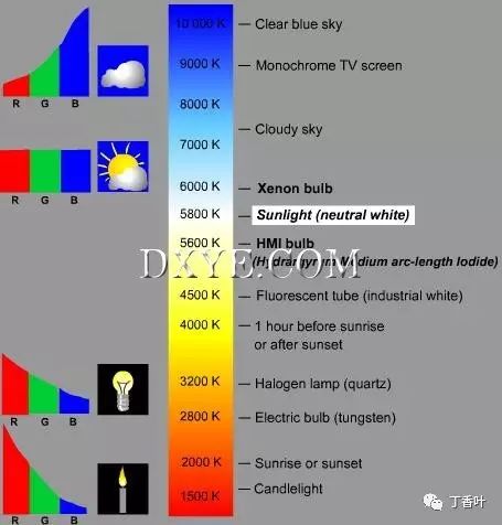 Video Surveillance: A Visual Guide