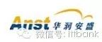 Top 66 Global Semiconductor Packaging and Testing Companies