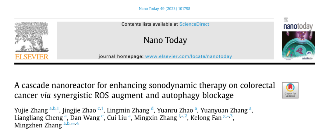 Cascaded Nano-Reactor Enhances Sonodynamic Therapy for Colon Cancer