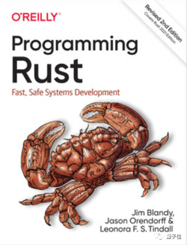 A Senior Developer's Year-Long Journey Learning Rust