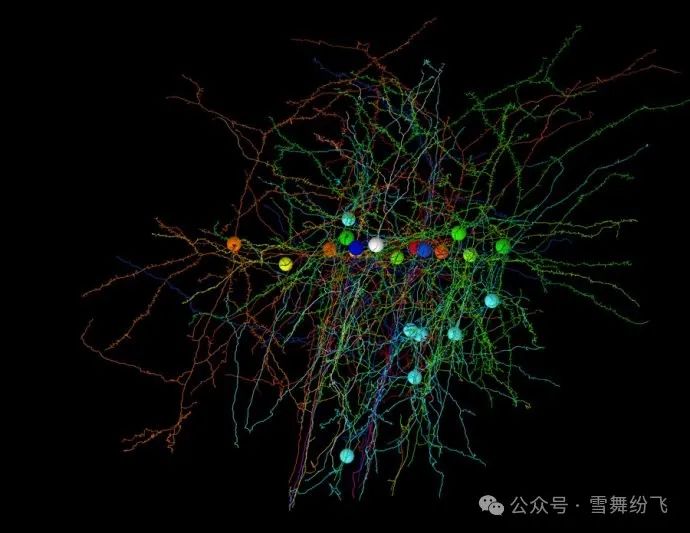 Quantization and Precision Optimization of Neural Network Models in C++