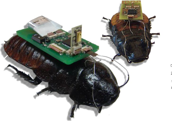 Micro Robots and Their Capabilities