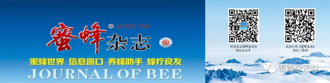 Inspiration from Bees for Modern Communication Technology
