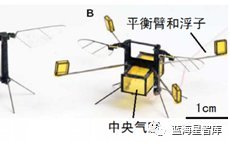 Development Status of Micrometer-Level Microrobots