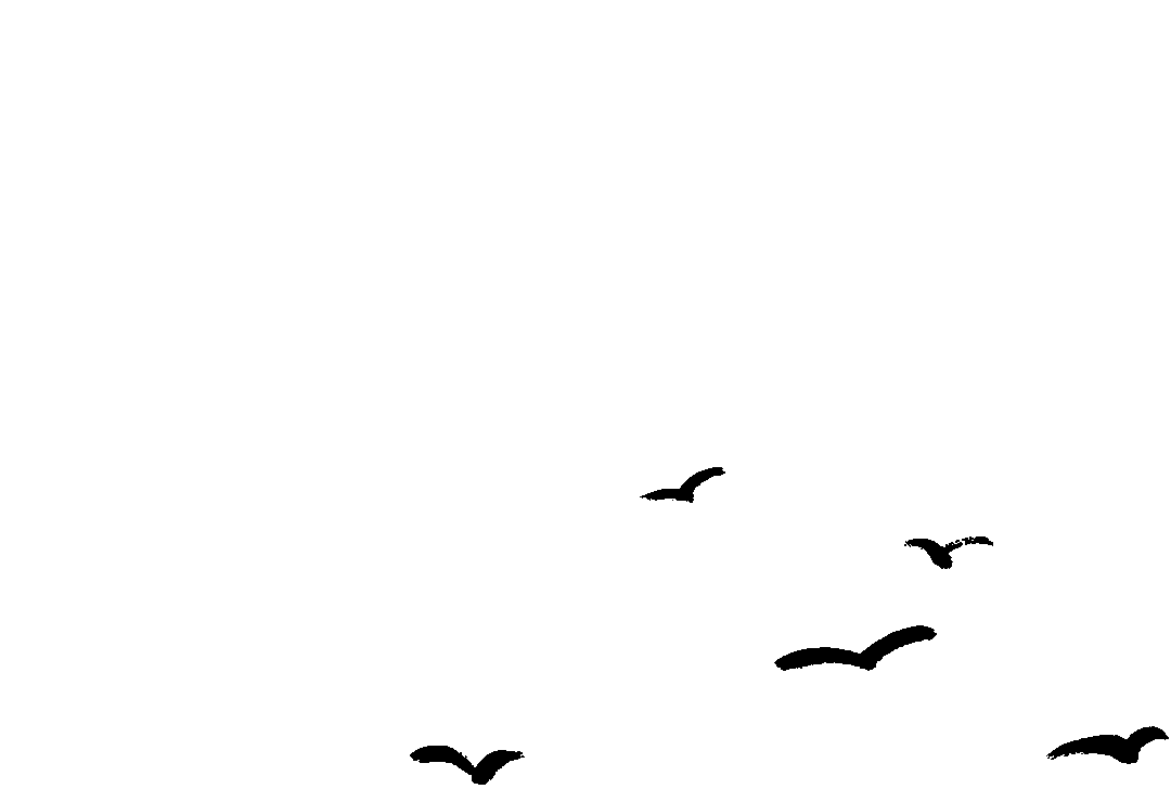 Implementing Simple Screen Sharing with Qt and MQTT