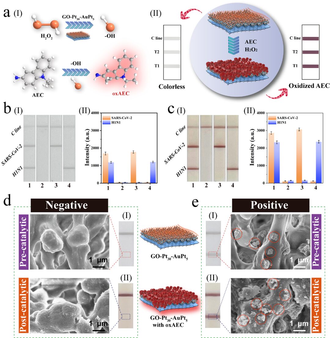 3D Film-Like Nanozyme for Ultrasensitive Detection of Respiratory Viruses