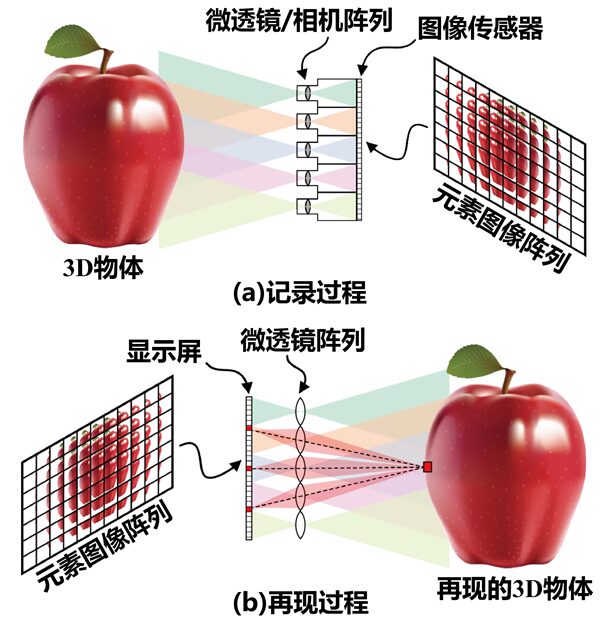 Meta-II Near-Eye 3D Display Using Meta-Lens Array