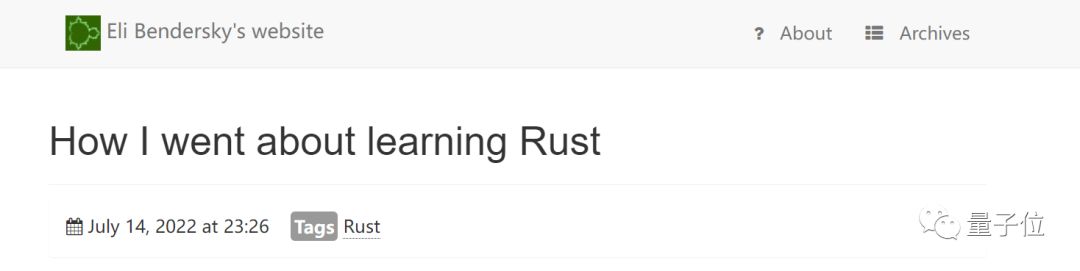 A Senior Developer's Year-Long Journey Learning Rust