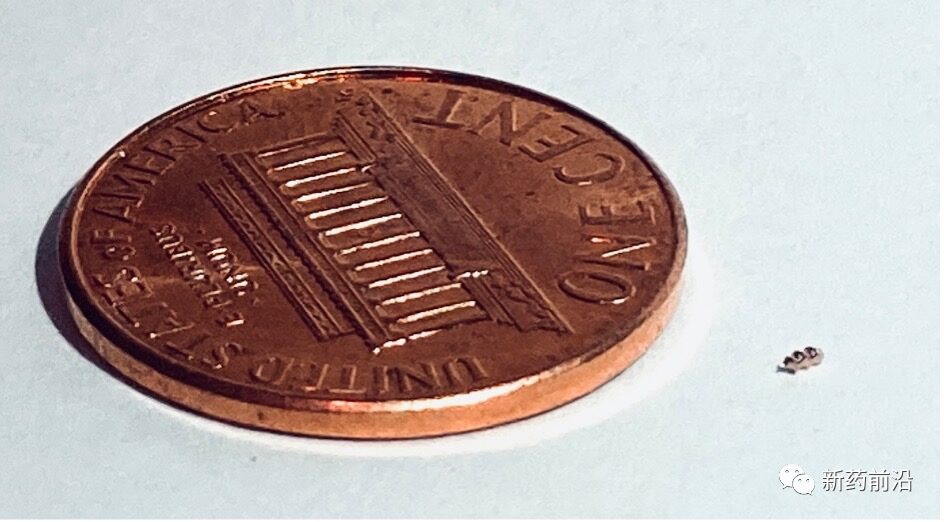 Sperm, Bacteria, Bubbles, and Bioastronauts: Microbots to Combat Cancer