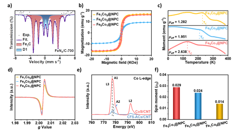 Exploring Electron Spin Polarization for Next-Gen Rechargeable Battery Innovation