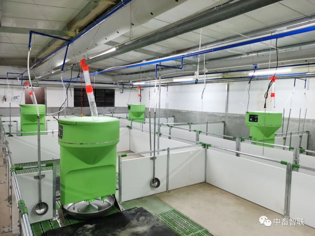 Analysis of the Underlying Logic and Equipment Costs of Smart Feeding