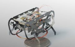 Micro Robots and Their Capabilities