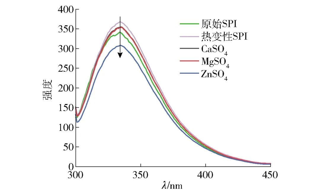 Professor Liu Shutao from Fuzhou University: Study on the Effect of Salt Ion Pre-Aggregation on Gel Properties of Soy Protein Isolate Based on Two-Step Method
