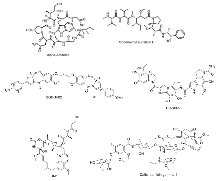 Introduction to Antibody-Drug Conjugates (ADCs)