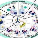 Research on ADC Combination Therapy