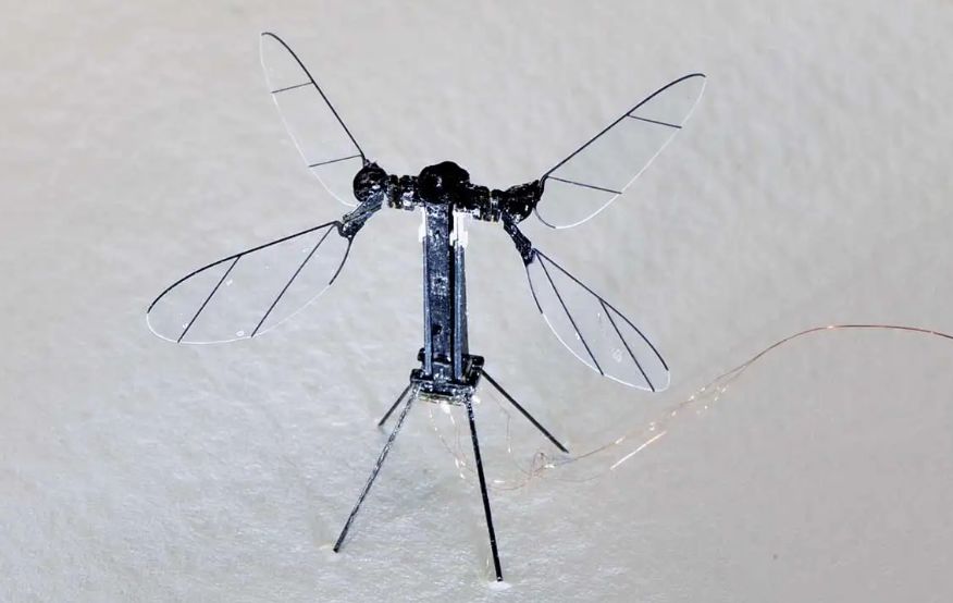 Micro Robots and Their Capabilities