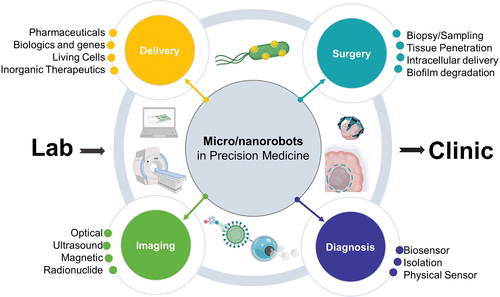 Review: Medical Micro/Nanorobots in Precision Medicine