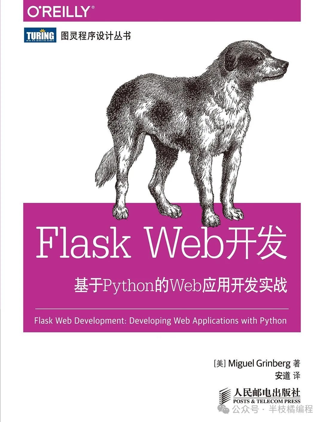 16 Must-Read Python Books for Beginners