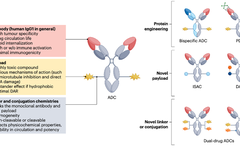 Comprehensive Overview of ADC Drug Development