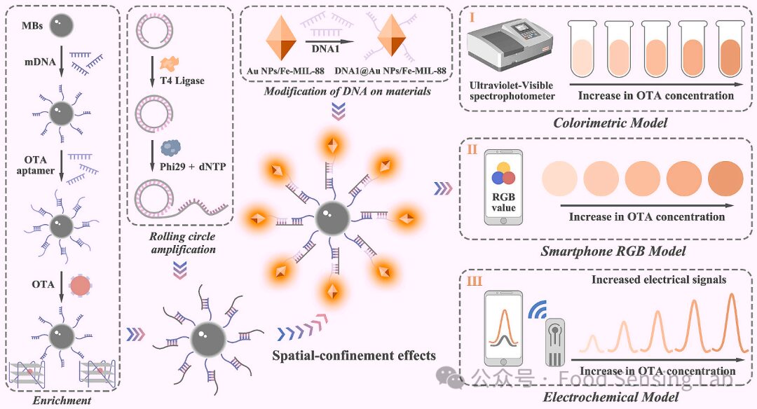 Smartphone-Based Dual-Mode Aptasensor for Ochratoxin A Detection