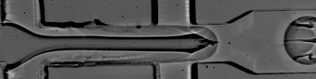 Comprehensive Analysis of the Top 10 MEMS Smart Sensors