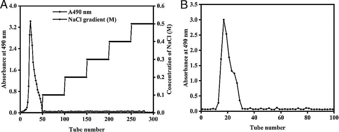 Extraction, Purification, and Gastroprotective Activity of Glucomannan from Bletilla Striata