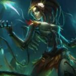 Can ADCs Be Outperformed by Support Champions?