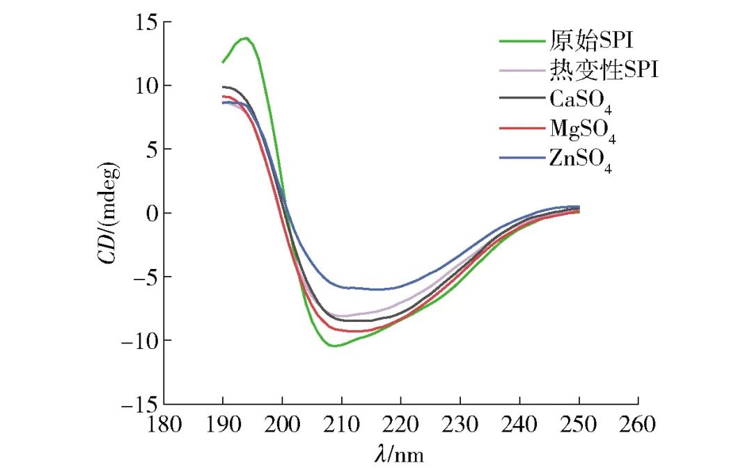 Professor Liu Shutao from Fuzhou University: Study on the Effect of Salt Ion Pre-Aggregation on Gel Properties of Soy Protein Isolate Based on Two-Step Method