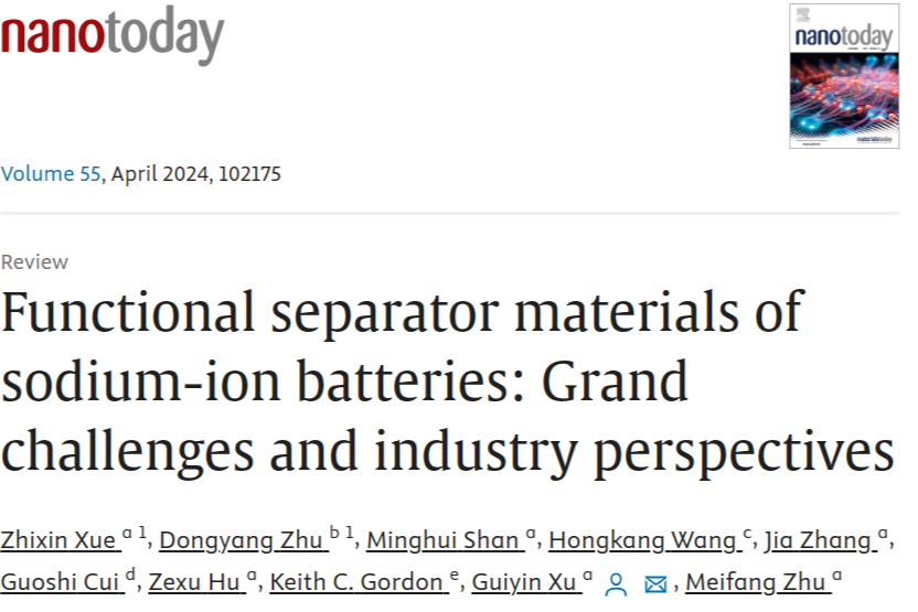 Major Challenges and Industrial Prospects of Sodium Battery Membranes