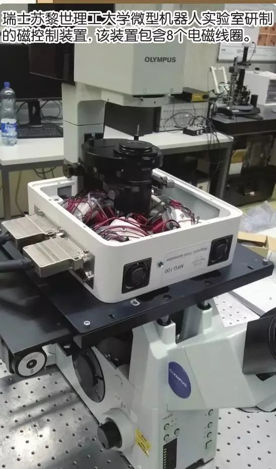 Exploring Tiny Robots Within the Human Body
