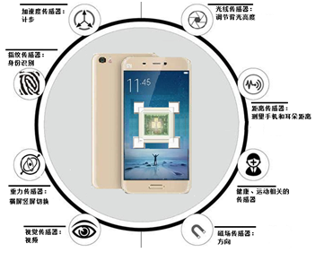 The Next Decade's Focus: A Comprehensive Analysis of the IoT Industry