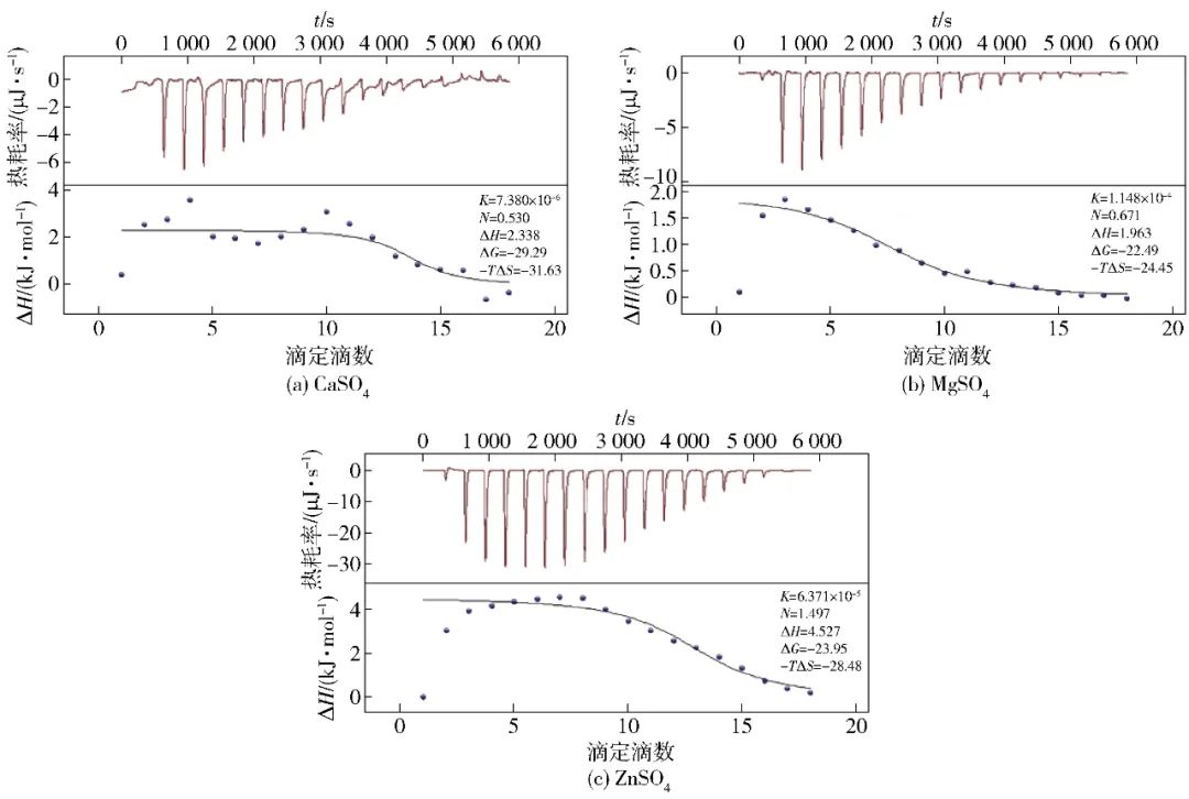 Professor Liu Shutao from Fuzhou University: Study on the Effect of Salt Ion Pre-Aggregation on Gel Properties of Soy Protein Isolate Based on Two-Step Method