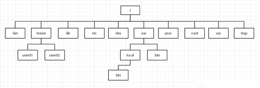 Learn Linux File System and Common File Operations Easily!