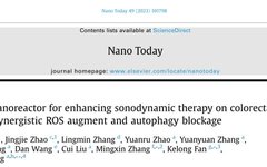Cascaded Nano-Reactor Enhances Sonodynamic Therapy for Colon Cancer