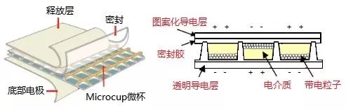Analysis of Flexible Printed Electronics and E-Paper Display Technology