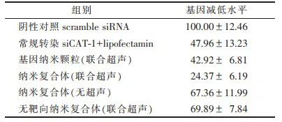 Consensus on RNA Genetic Modification for siRNA Delivery Using Negative-Charged Nano-Ultrasound Contrast Agents