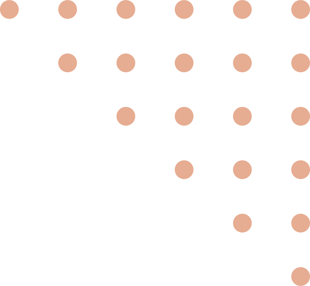 AFOD Algorithm Open Source! SpireCV Small Target Detection Upgrade