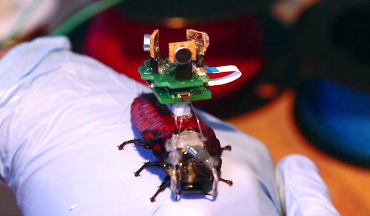 Micro Robots and Their Capabilities