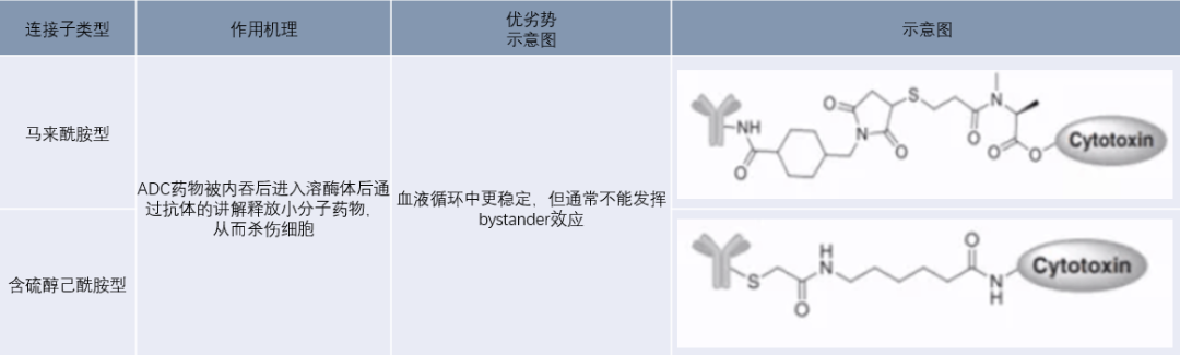 Introduction to Antibody-Drug Conjugates (ADCs)