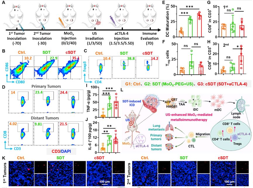 Oxygen-Deficient Molybdenum Oxide Nanosensitizers for Ultrasound-Enhanced Cancer Metalloimmunotherapy