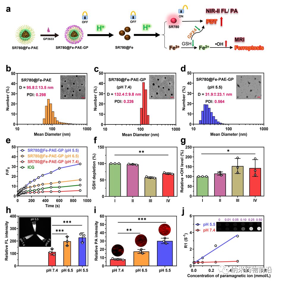pH-Activated Nanoplatform for Tumor Therapy